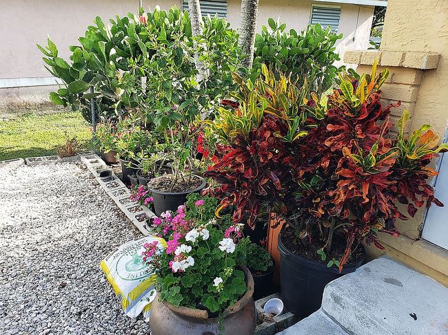 Photo of 165 Nw 3rd Ave, South Bay, FL