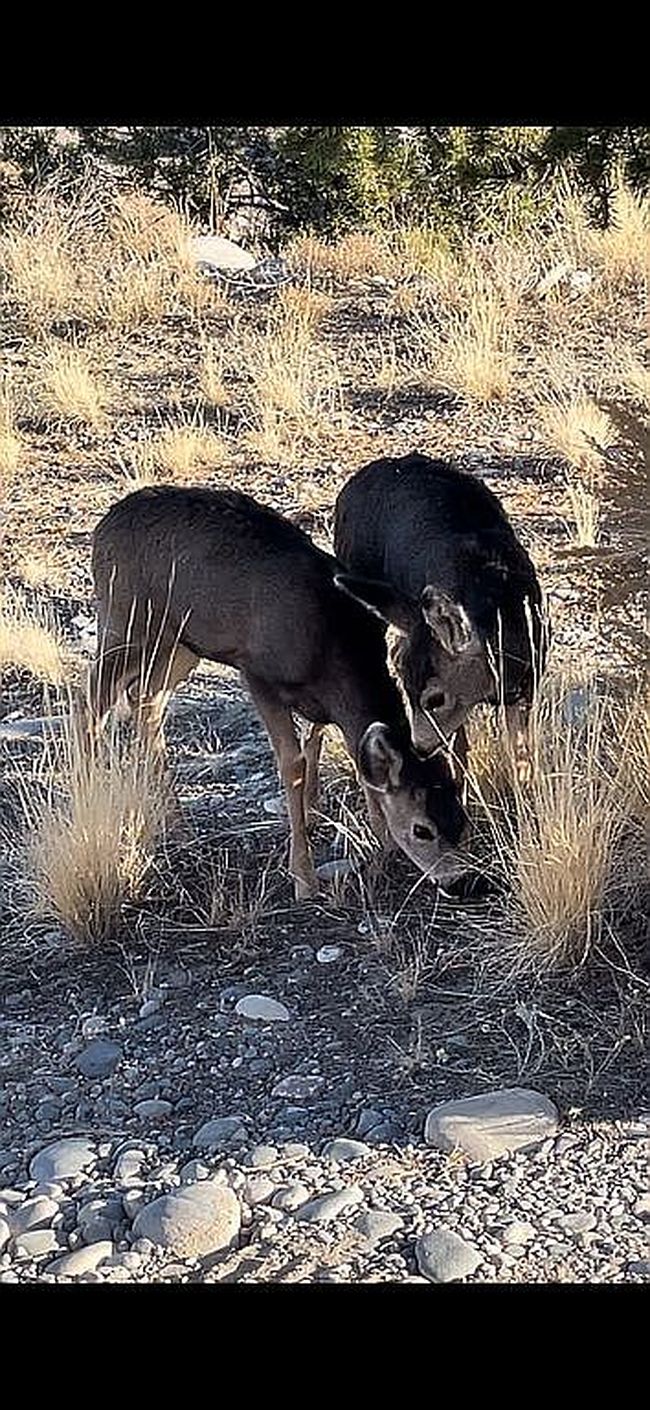 Photo of 34 Road 4275, Navajo Dam, NM