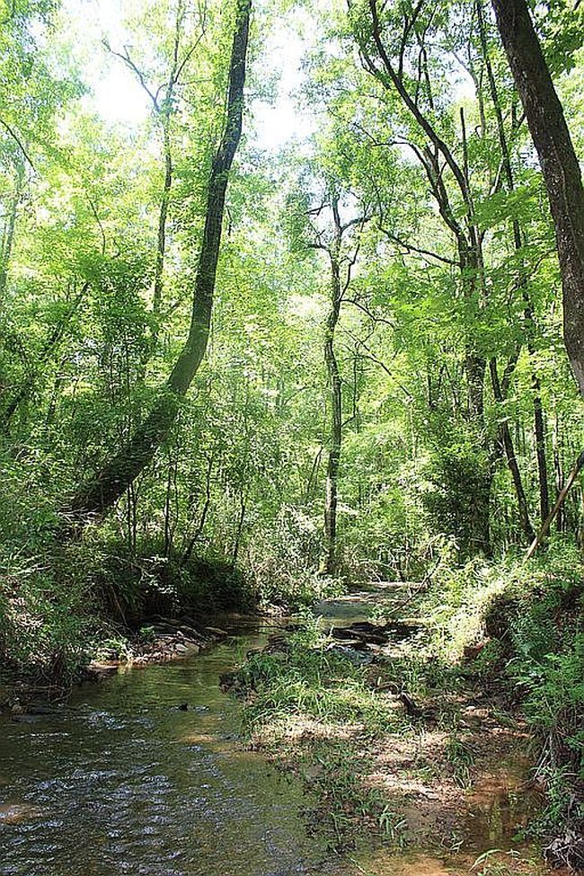 Photo of 0 Chalybeate Rd, Manchester, GA