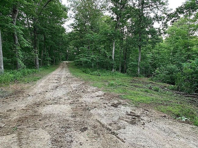 Image of 4981 County Road 137