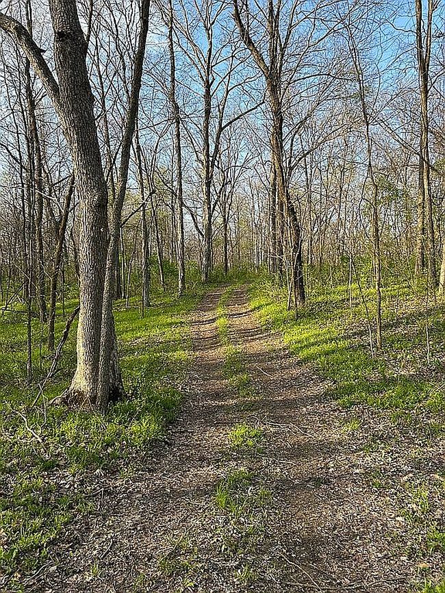 Image of 1351 Highway A