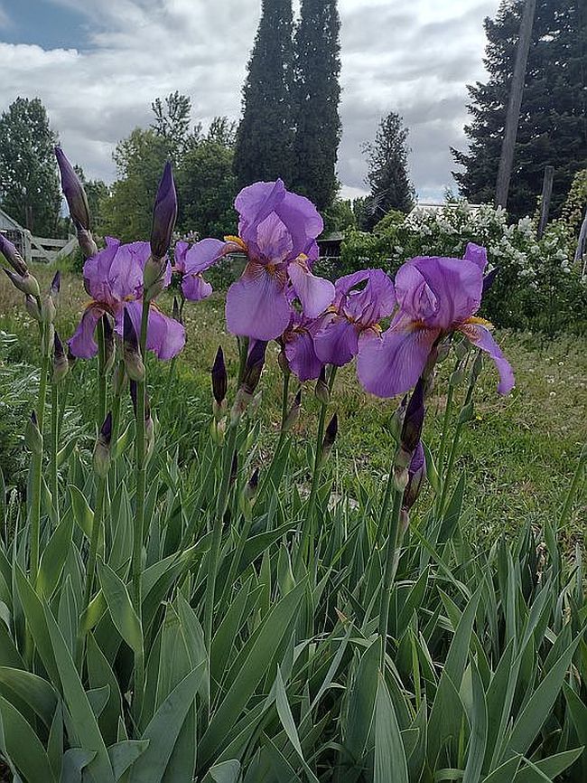 Additional photo 3 of property located at 224 N Main St