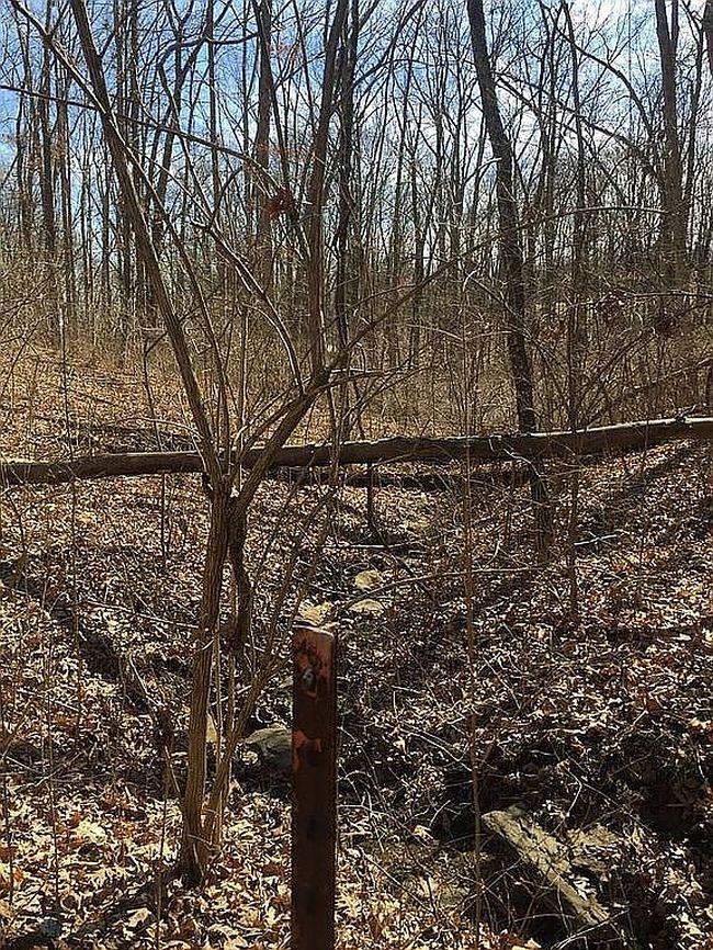 Image of 10818 Marvin Rd