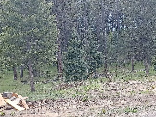Photo of 116 Cherry Creek Bluff Rd, Libby, MT
