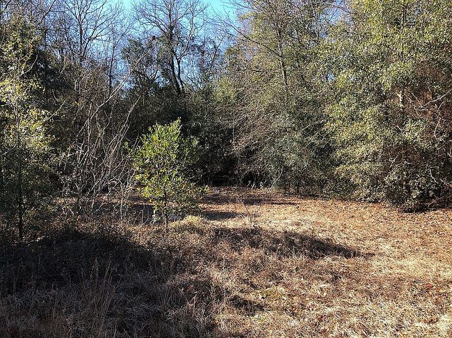 Photo of 2324 Tobacco Rd, Augusta, GA