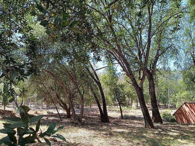 Photo of 3076 Riviera Heights Dr, Kelseyville, CA