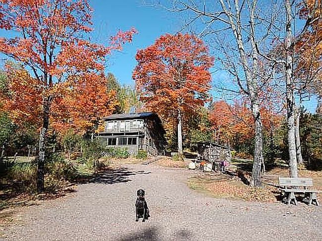 Photo of 781 County Road 60