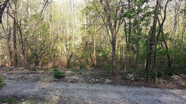 Photo of 5315 State Highway T, Oldfield, MO
