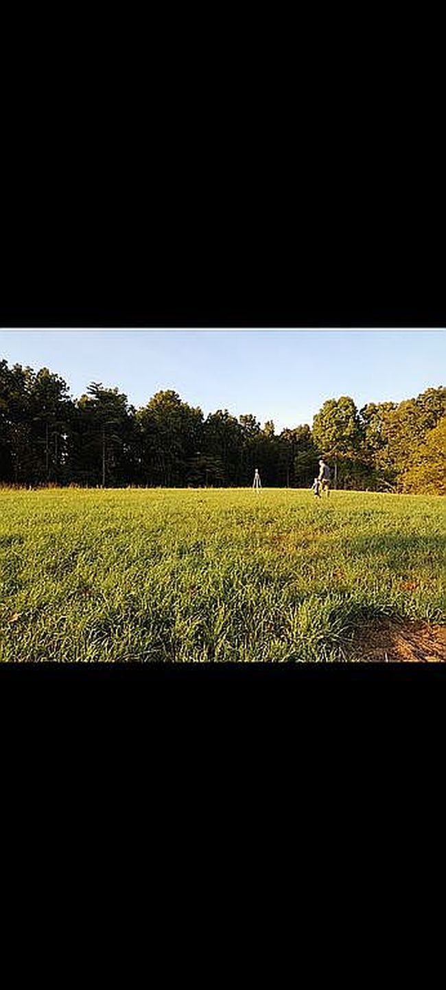 Photo of 1479 Railroad Bed Rd, Collinwood, TN