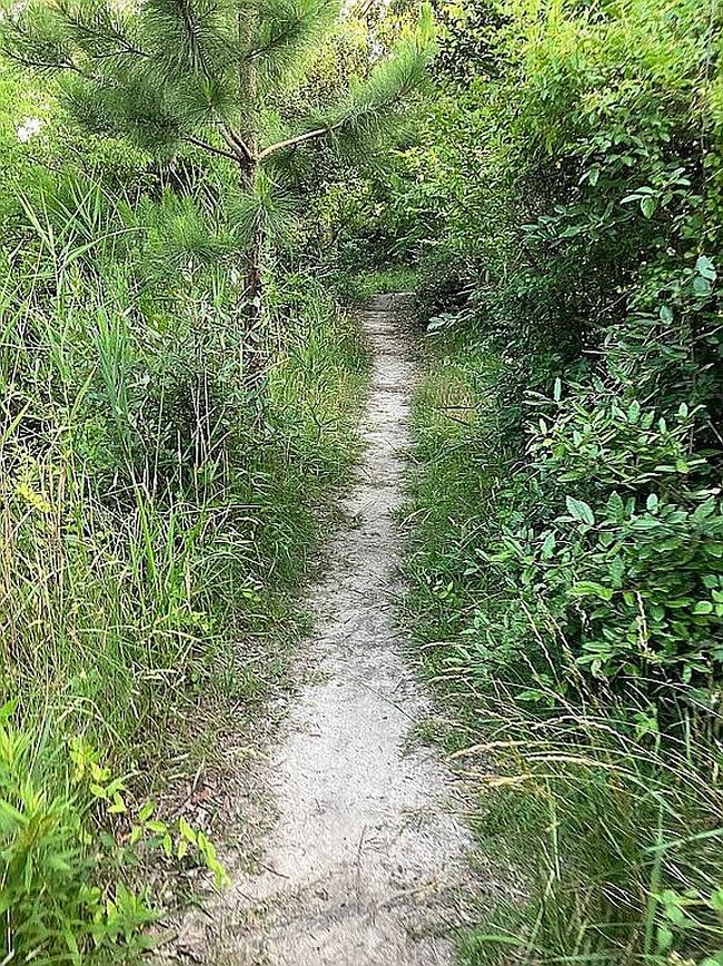 Image of 18 Constant Rd