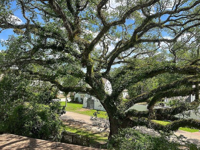 Photo of 830 S Madison St, Covington, LA