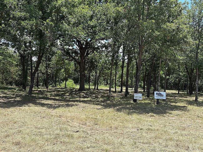 Photo of 1168 County Road 407A, Nemo, TX