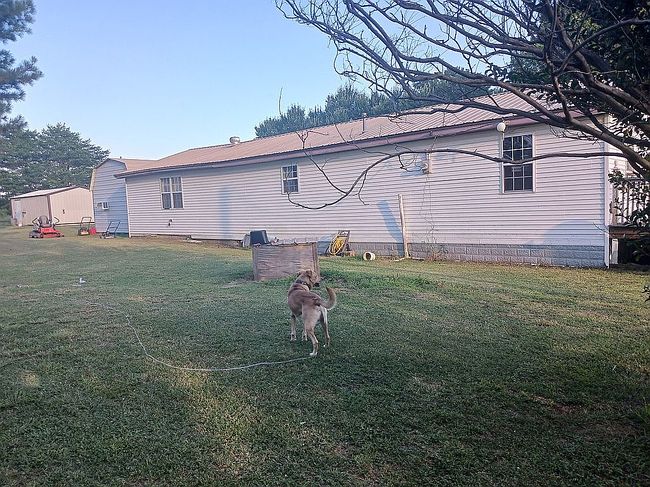 Photo of 284 Walnut St, Delaplaine, AR