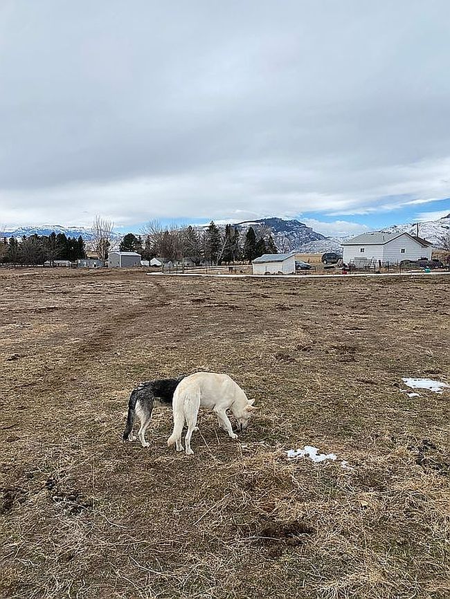 Photo of 46 Road 2Abn, Cody, WY