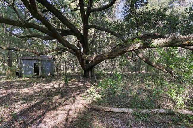 Image of 15422 Redbird Road
