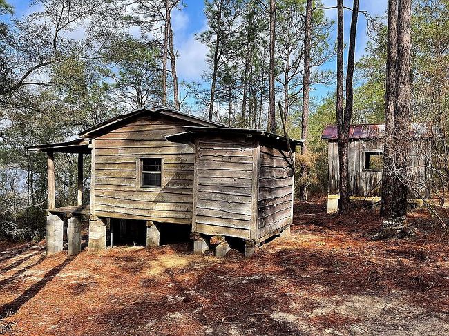 Image of 5018 Grassy Pond Rd