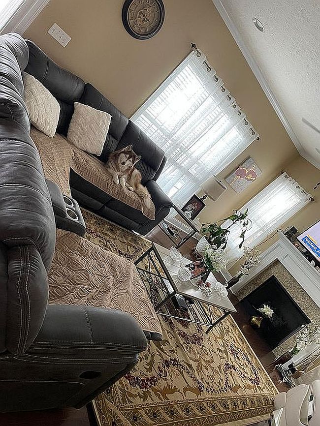 Image of 125 Hopewell Ct