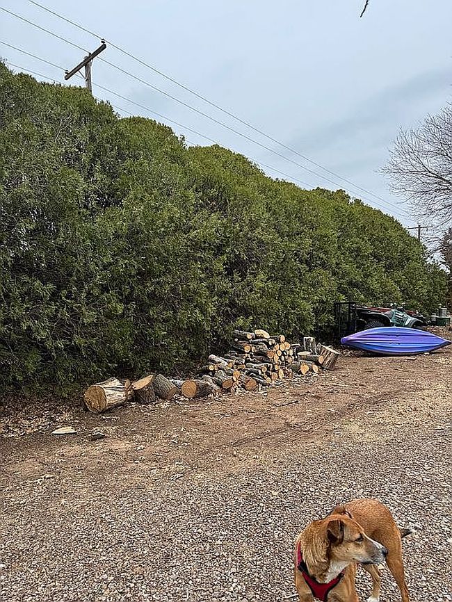 Image of 2825 L A Cann Dr