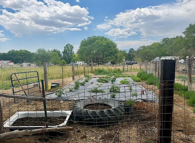Photo of 229 1st East St, Lund, NV