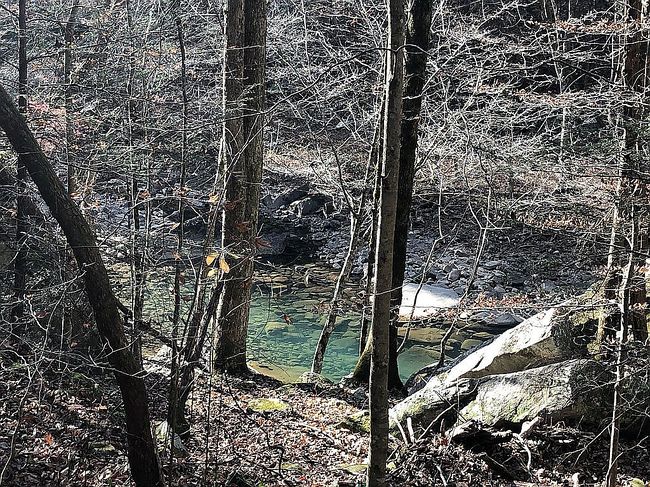 Image of 618 Boyd Rd