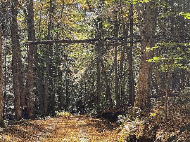 Photo of 0 French Meadow Rd, Springfield, VT