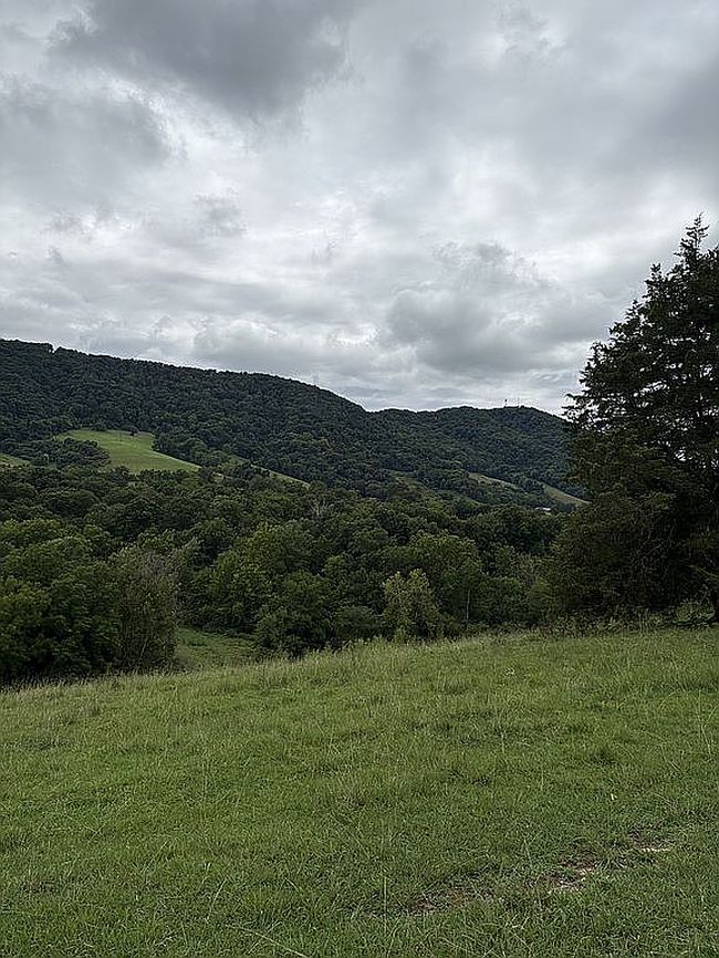 Photo of Buchanan Ridge Rd, Tazewell, TN