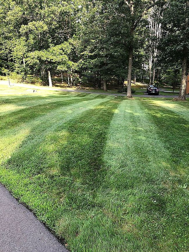 Photo of 31 Hilltop Dr, Shavertown, PA