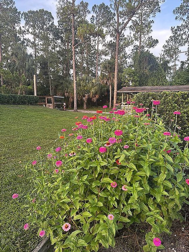 Photo of 2610 10th Ave Se, Naples, FL
