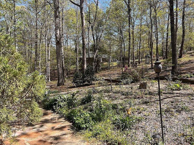 Image of 311 Eagles Nest Dr