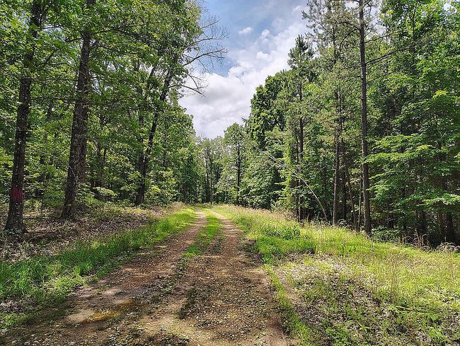Photo of 273 Peaceful Ln, Yellville, AR