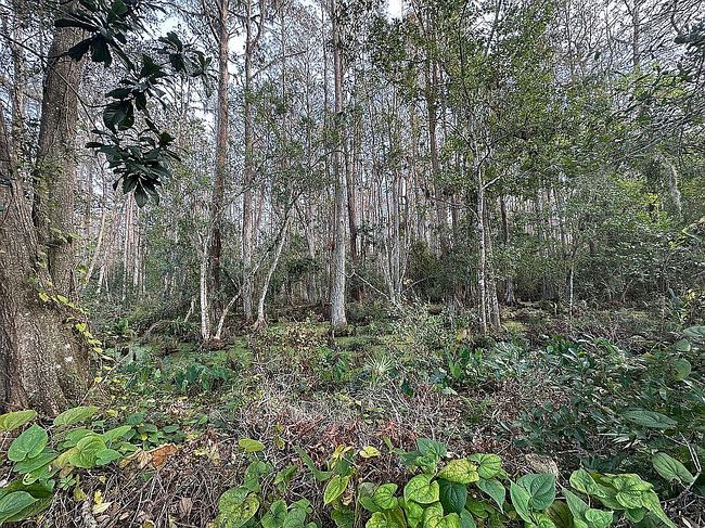 Image of 8376 Sycamore Dr