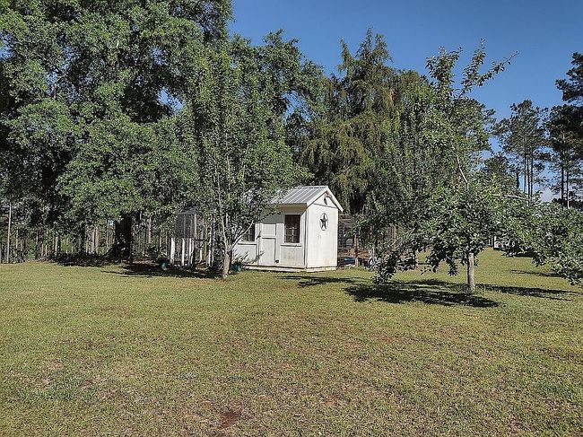 Image of 2735 County Road 6636