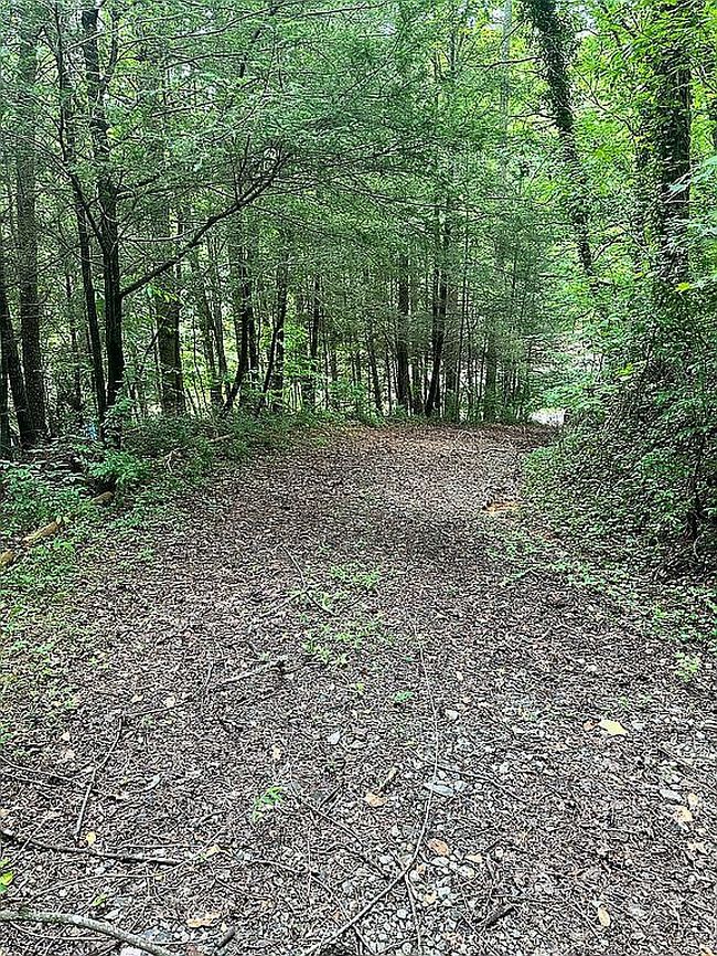 Photo of 134 Charles Rd, Ellijay, GA