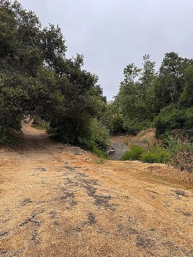 Photo of 1155 Cayucos Creek Rd, Cayucos, CA