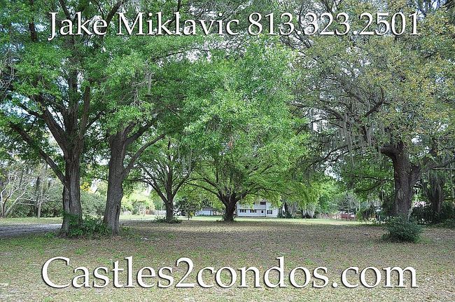 Photo of 11008 Browning Rd, Lithia, FL