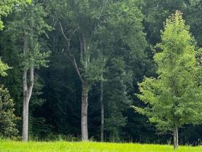 Additional photo 1 of property located at 15245 Birmingham Hwy