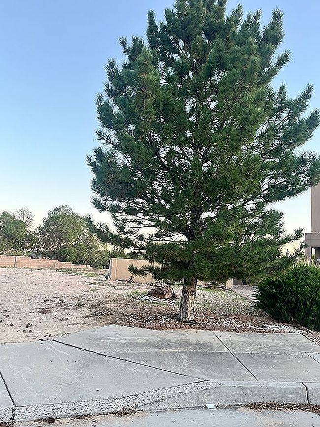 Image of 4416 Woodrose Rd Nw