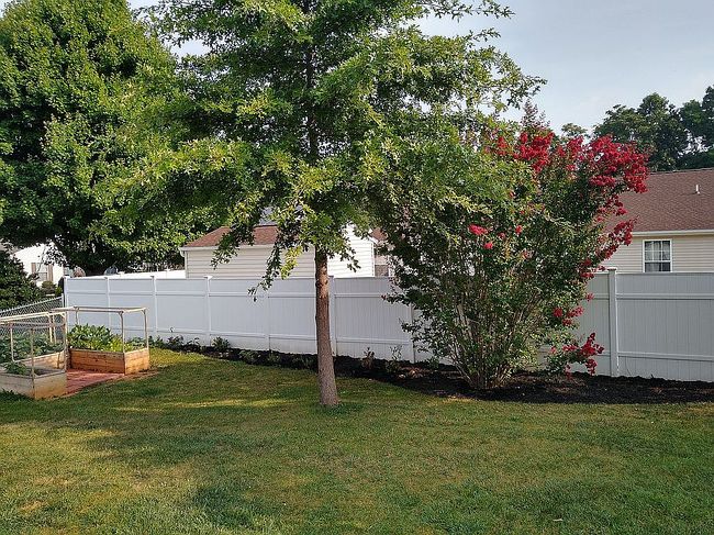 Image of 305 Lancelot Ln