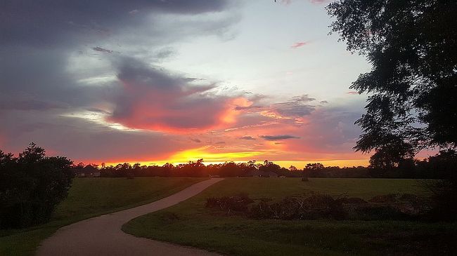 Photo of 24016 Bella Casa Ln, Husser, LA