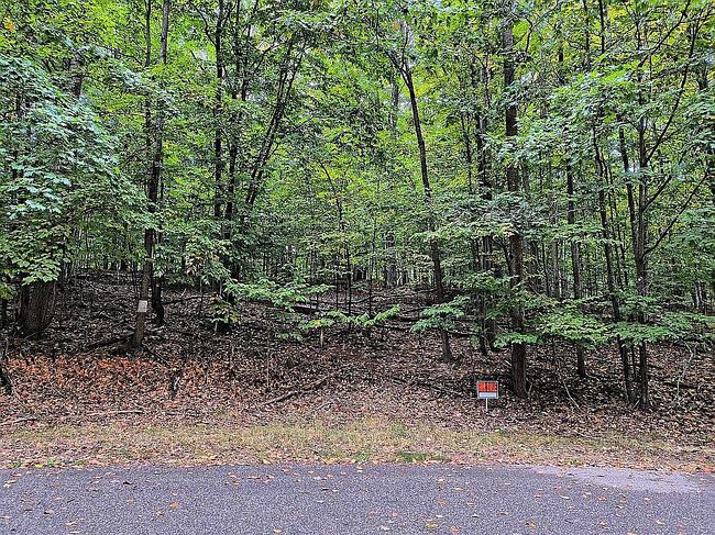 Image of 0 Cardinal Ct