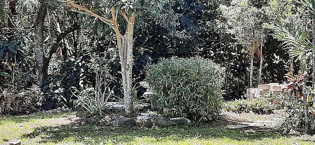 Photo of 2365 28th Ave Sw, Vero Beach, FL