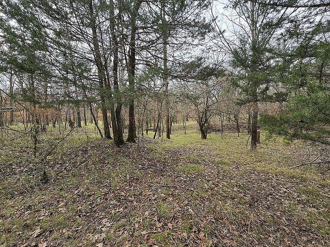 Image of 4 Sapphire Ridge Rd