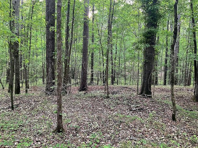 Photo of 1109 Cannon Dr, Social Circle, GA