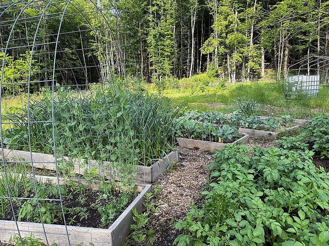 Photo of 3718 Regan Rd, Montgomery Center, VT