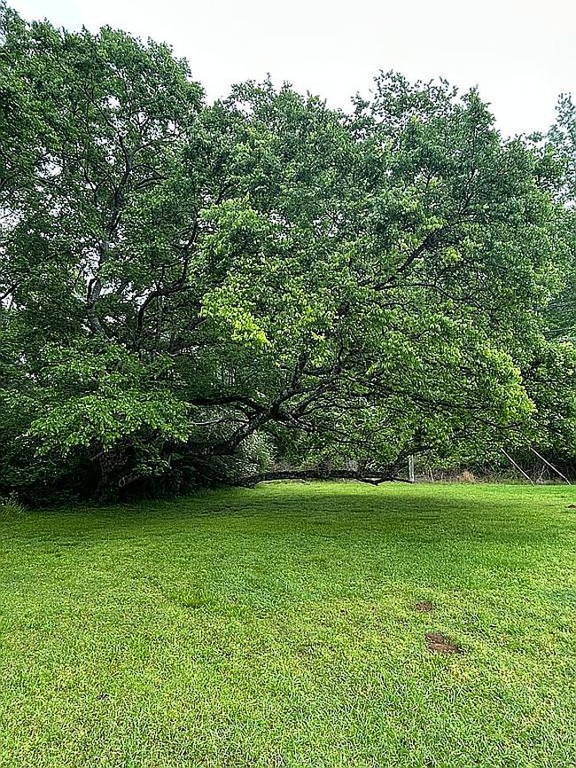 Image of 3926 Military Rd