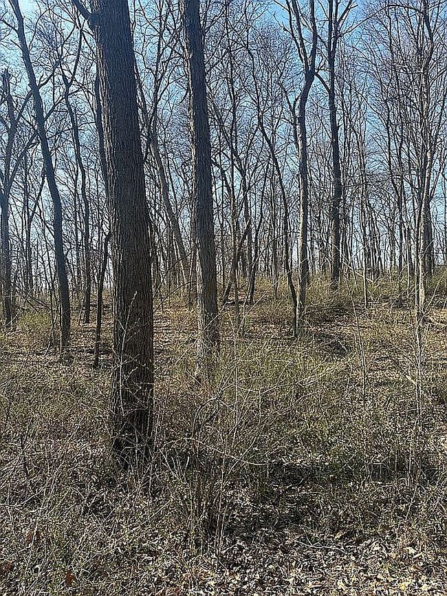 Image of 0 Highway 38