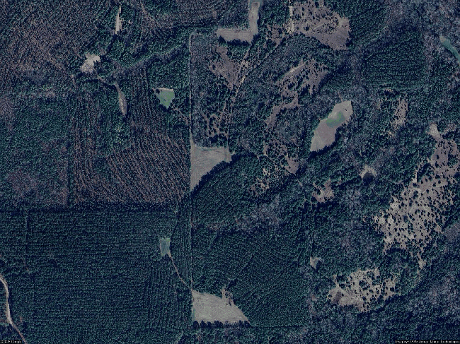 Image of 941 Lake Eddins 1638