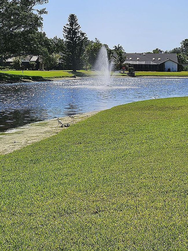 Image of 8866 Banyan Cove Cir
