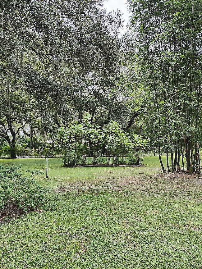Image of 29938 Cooper Rd