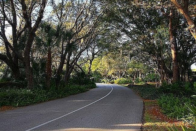 Image of 463 Palm Tree Dr